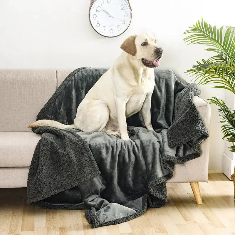 Double-sided Soft Pet Waterproof Blanket Angel Wishes